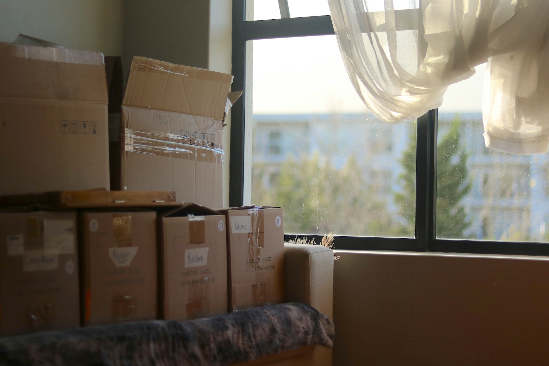 dorm room with boxes by a window