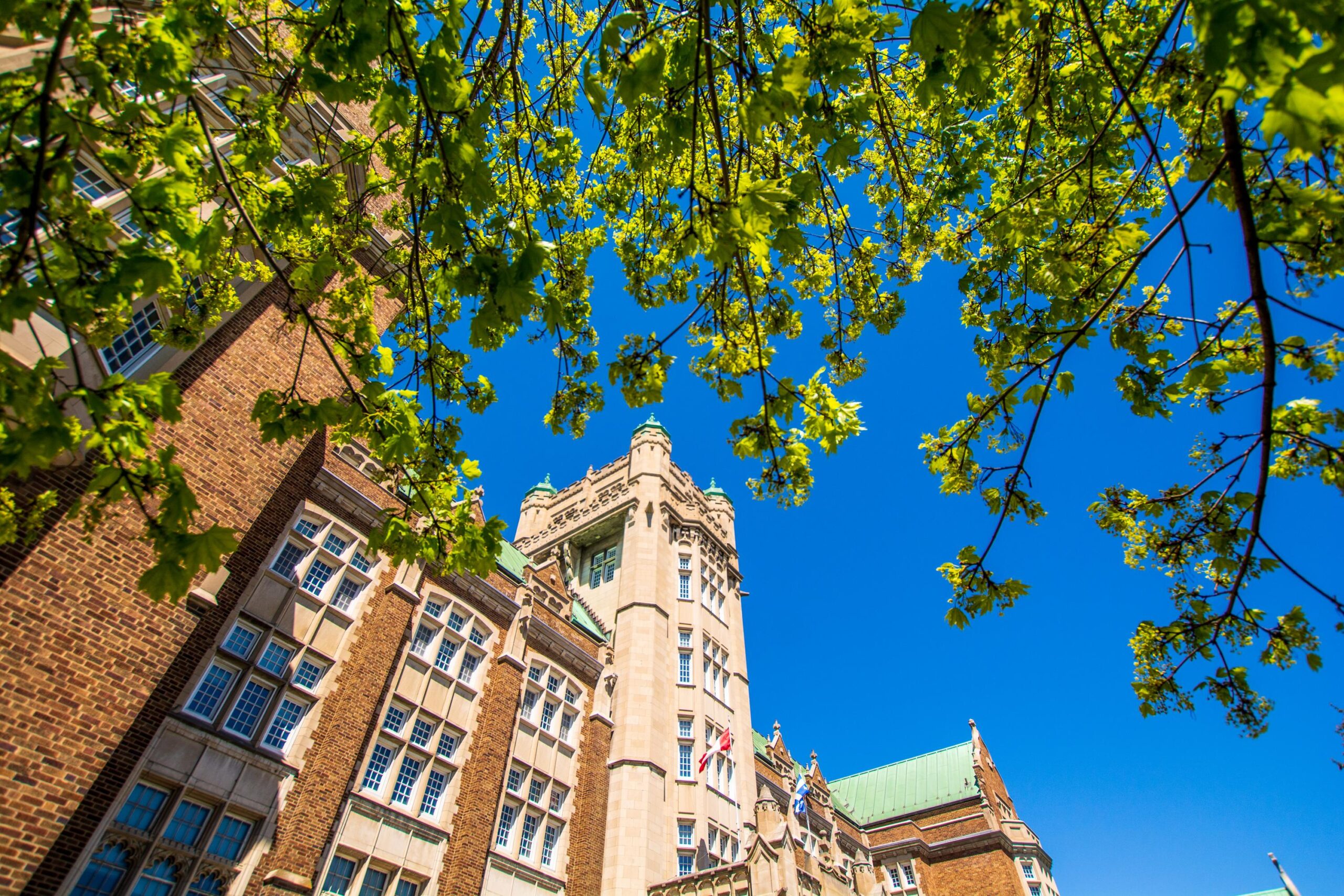 Looking up at a historic looking building, framed by the leaves of a tree